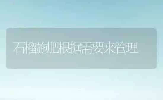石榴施肥根据需要来管理 | 种植肥料施肥