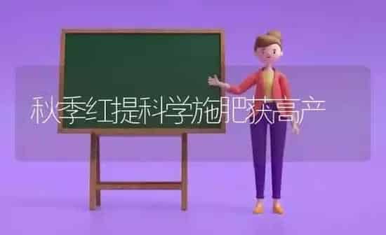 秋季红提科学施肥获高产 | 种植肥料施肥
