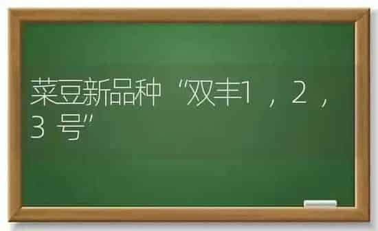 菜豆新品种“双丰1，2，3号” | 蔬菜种植