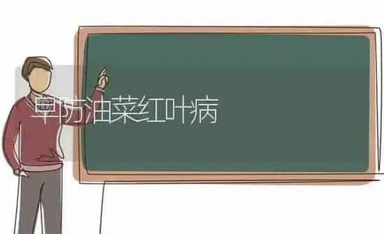 早防油菜红叶病 | 粮油作物种植