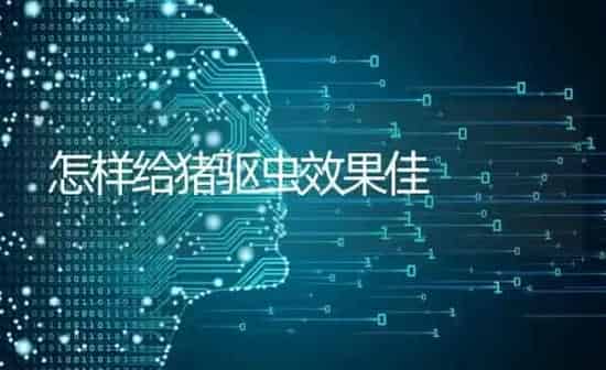 怎样给猪驱虫效果佳 | 瓜果种植