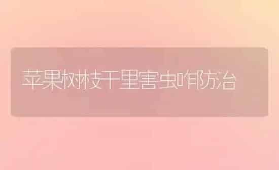 苹果树枝干里害虫咋防治 | 瓜果种植