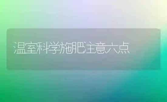 温室科学施肥注意六点 | 种植肥料施肥