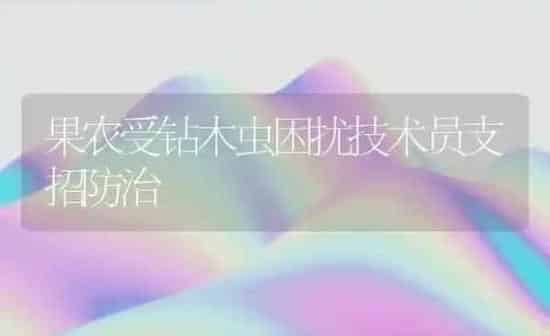 果农受钻木虫困扰技术员支招防治 | 瓜果种植