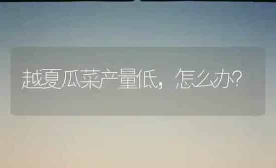 越夏瓜菜产量低，怎么办？ | 蔬菜种植