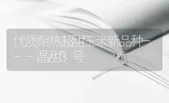 优质耐热超甜玉米新品种---晶甜3号 | 粮油作物种植