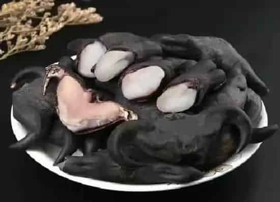 果实科普|菱角一年四季都有吗 什么时候是吃菱角的季节