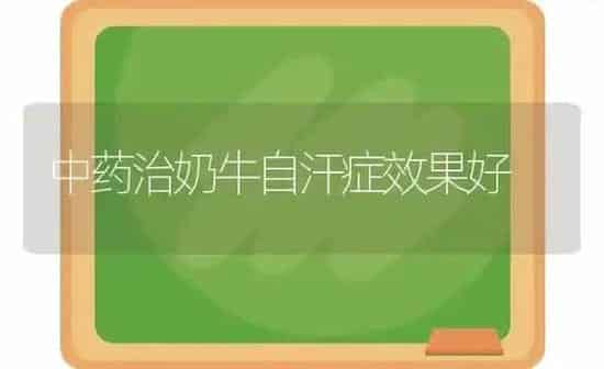 中药治奶牛自汗症效果好 | 瓜果种植