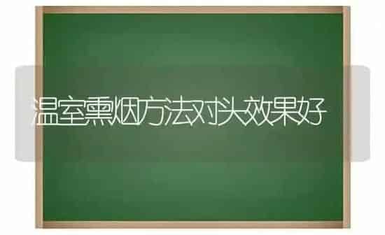 温室熏烟方法对头效果好 | 瓜果种植