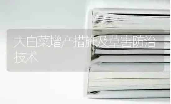大白菜增产措施及草害防治技术 | 蔬菜种植