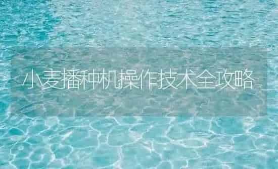 小麦播种机操作技术全攻略 | 粮油作物种植