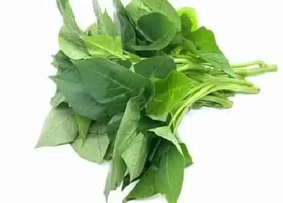 植物播种|红薯叶怎么留种子