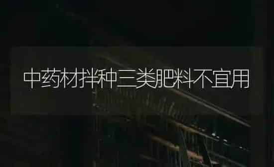 中药材拌种三类肥料不宜用 | 药材种植