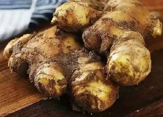 生长环境|姜生长在哪里