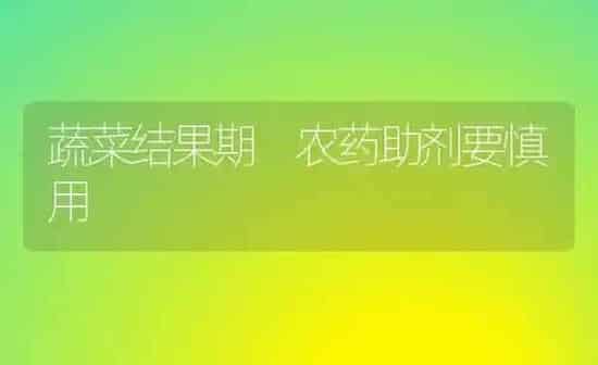 蔬菜结果期 农药助剂要慎用 | 蔬菜种植
