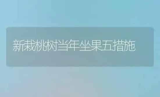 新栽桃树当年坐果五措施 | 瓜果种植