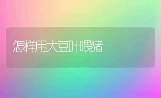 怎样用大豆叶喂猪 | 粮油作物种植