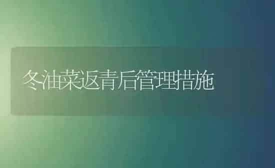 冬油菜返青后管理措施 | 粮油作物种植