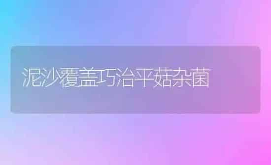 泥沙覆盖巧治平菇杂菌 | 食用菌种植
