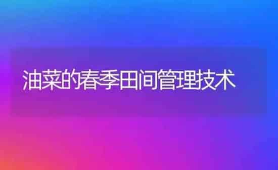 油菜的春季田间管理技术 | 粮油作物种植