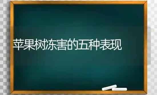 苹果树冻害的五种表现 | 瓜果种植