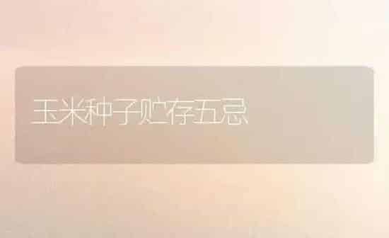 玉米种子贮存五忌 | 粮油作物种植