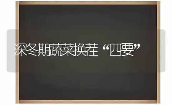 深冬期蔬菜换茬“四要” | 蔬菜种植