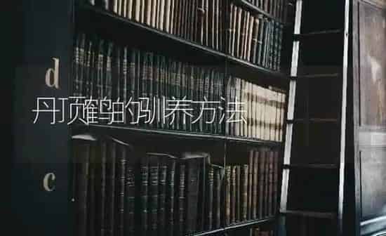 西瓜窖贮保鲜、涂抹保鲜法 | 瓜果种植