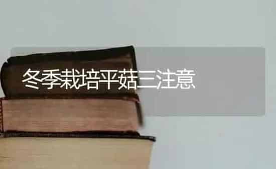 冬季栽培平菇三注意 | 食用菌种植