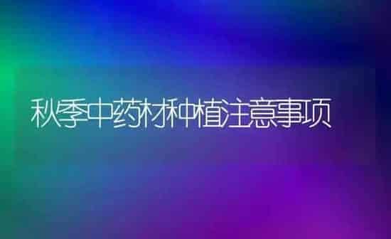 秋季中药材种植注意事项 | 药材种植