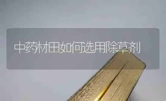 中药材田如何选用除草剂 | 药材种植
