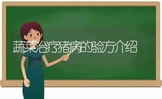 蔬菜治疗猪病的验方介绍 | 蔬菜种植