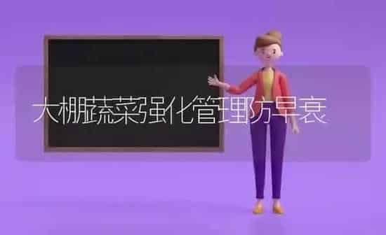 大棚蔬菜强化管理防早衰 | 蔬菜种植