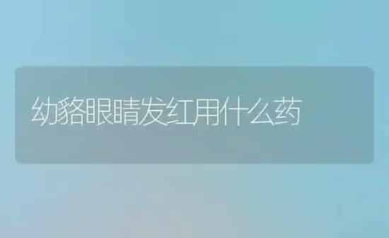 蔬菜育苗追肥方法 | 蔬菜种植
