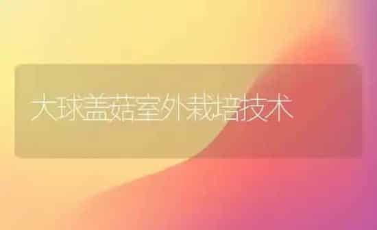 大球盖菇室外栽培技术 | 食用菌种植