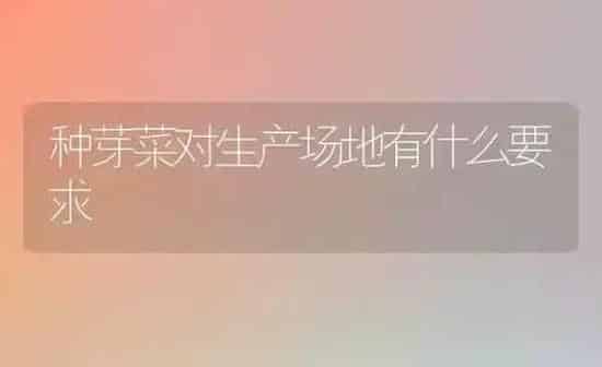 种芽菜对生产场地有什么要求 | 蔬菜种植