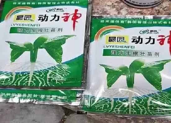 植物浇水|生根粉可以浇兰花吗