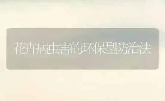花卉病虫害的环保型防治法 | 种植病虫害防治