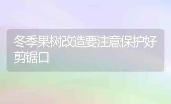冬季果树改造要注意保护好剪锯口 | 瓜果种植
