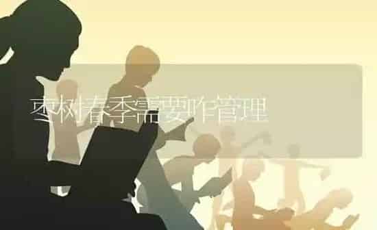 枣树春季需要咋管理 | 瓜果种植
