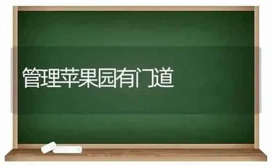 管理苹果园有门道 | 瓜果种植