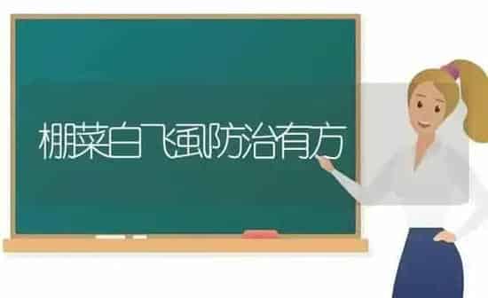 棚菜白飞虱防治有方 | 蔬菜种植