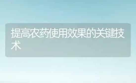 提高农药使用效果的关键技术 | 瓜果种植