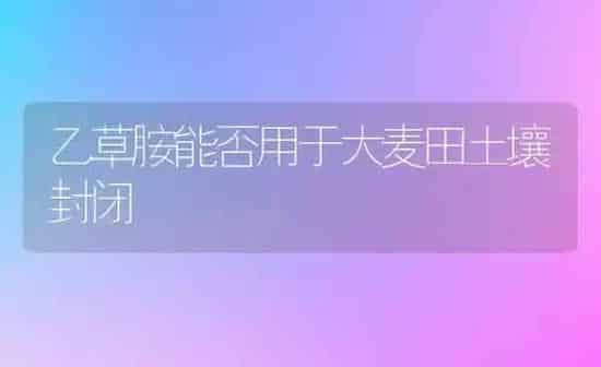 乙草胺能否用于大麦田土壤封闭 | 粮油作物种植