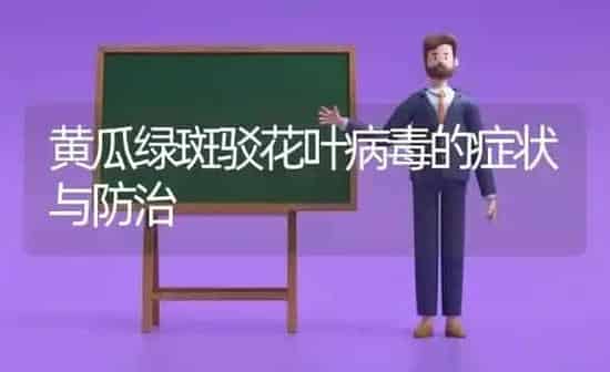 黄瓜绿斑驳花叶病毒的症状与防治 | 蔬菜种植