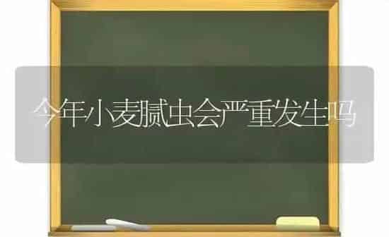 今年小麦腻虫会严重发生吗 | 粮油作物种植