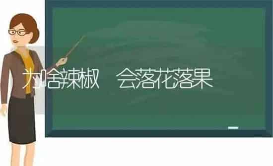 为啥辣椒 会落花落果 | 瓜果种植