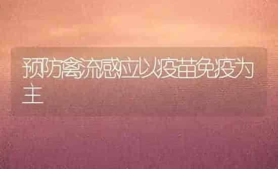 火龙果苗发黄腐烂怎么防治 | 瓜果种植