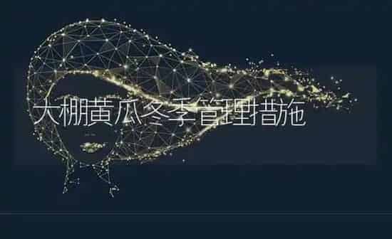 大棚黄瓜冬季管理措施 | 蔬菜种植