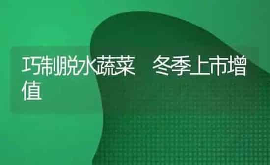 巧制脱水蔬菜 冬季上市增值 | 蔬菜种植